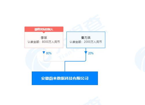 李斌投資成立蔚來數據公司，深化計算機系統集成服務布局